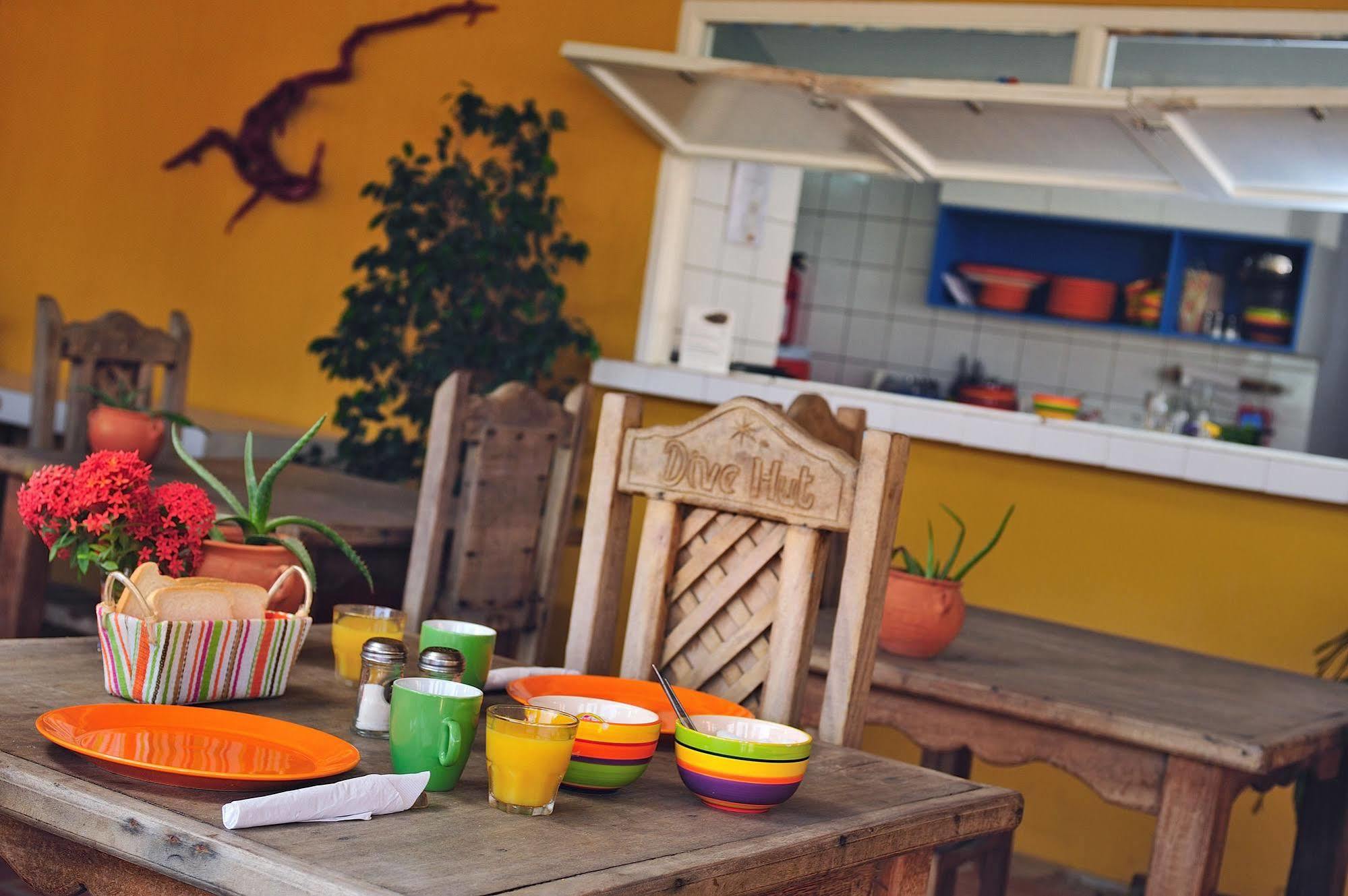 The Dive Hut - Boutique Apartments Kralendijk Dış mekan fotoğraf